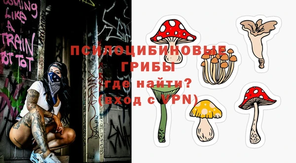 мет Арсеньев