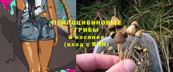 мет Арсеньев
