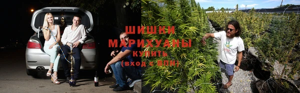 мет Арсеньев
