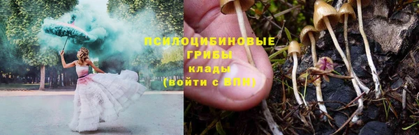 мет Арсеньев