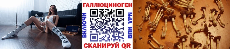 наркотики  Полевской  Псилоцибиновые грибы Psilocybine cubensis 