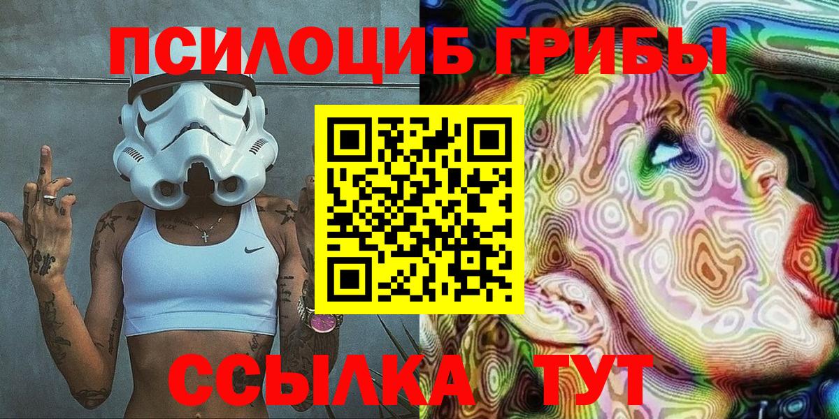 Псилоцибиновые грибы Cubensis Полевской