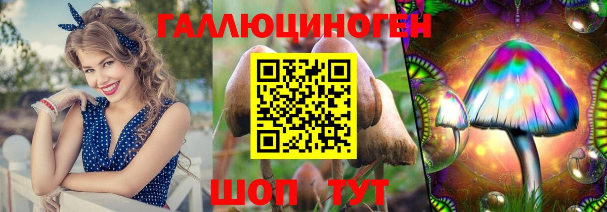 Галлюциногенные грибы Psilocybe  Вход с VPN  Полевской 