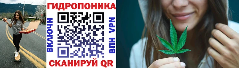 Бошки Шишки сатива  Полевской 